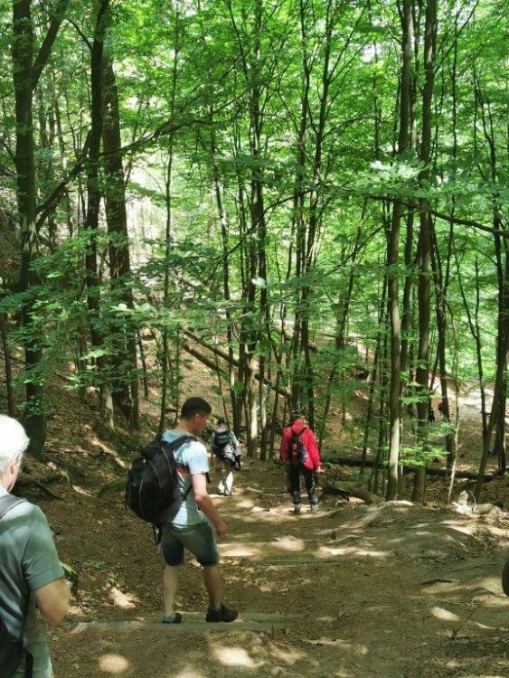 Ü40 Single Wandern in der Sächsischen Schweiz