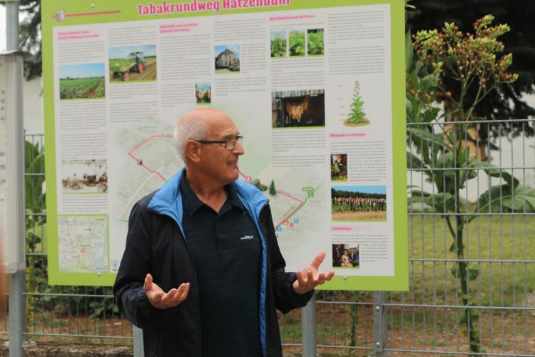 Auf den Spuren des Tabaks