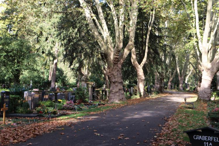 Eine Führung über den Karlsruher Hauptfriedhof