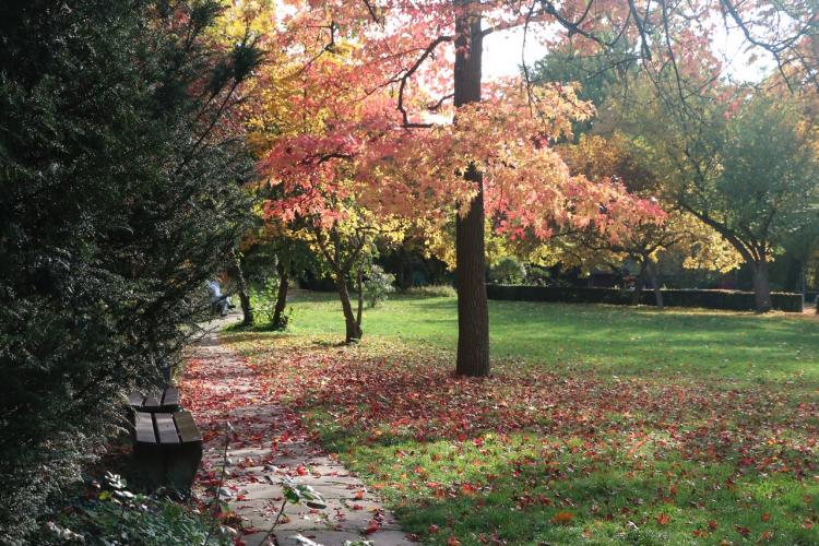 Wunderbarer Herbstspaziergang