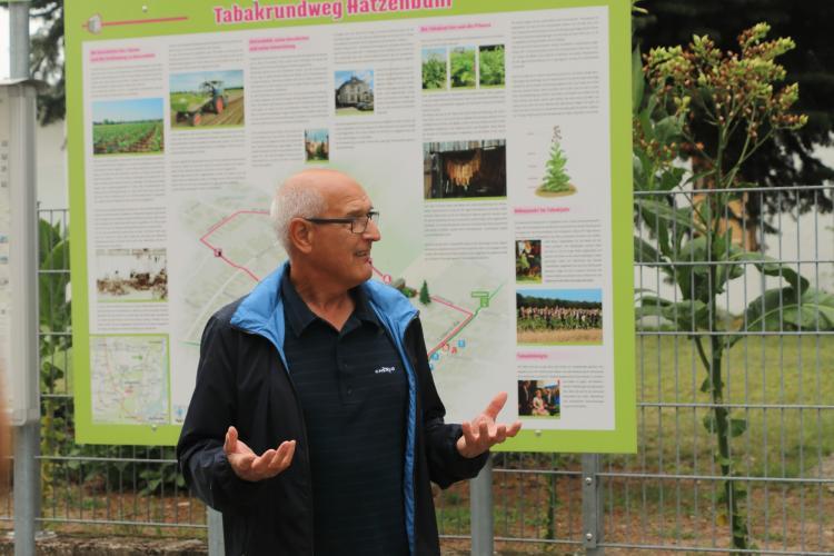 Tabakrundweg Hatzenbühl und Dampfnudelbuwe in Jockgrim