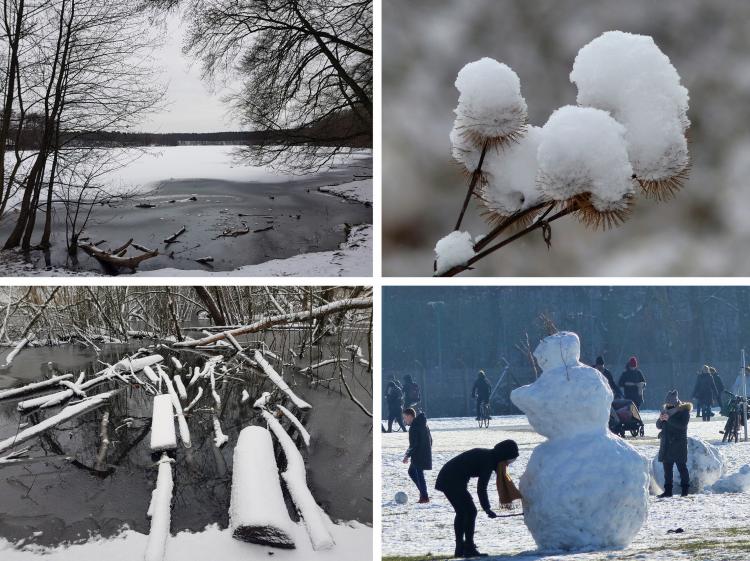 Winterfreuden beim Wandern durch verzauberte Landschaften genießen.