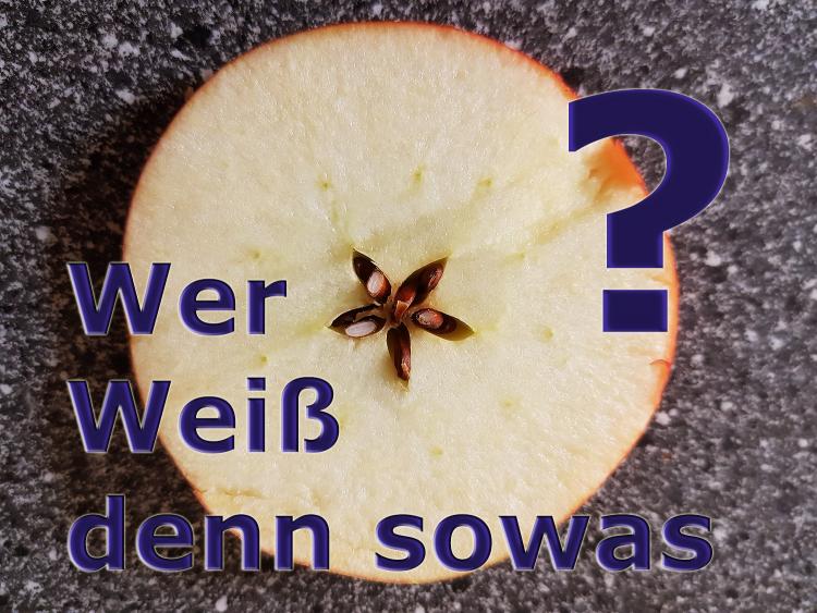 Quiz – Abend:  Wer weiß denn sowas?