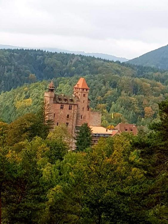 Wandervorschläge in der Südpfalz