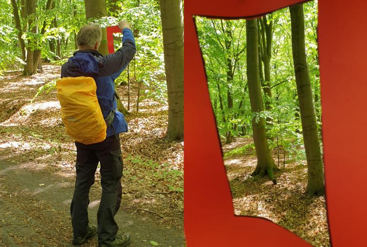 Shinrin-Yoku Waldbaden im Maienwald