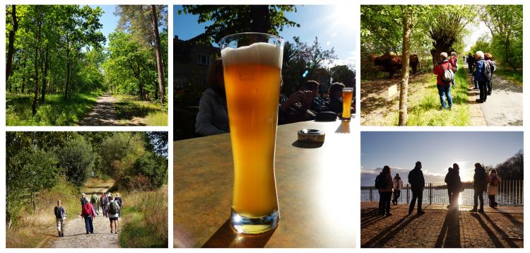 Freiluftkino, Biergarten und spannende Wanderungen zu unbekannteren Orten