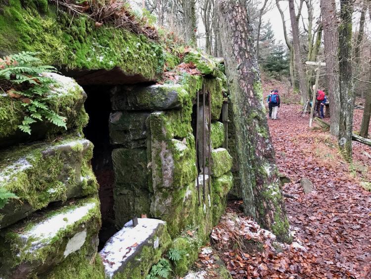 Märchenhafte Burgen-Entdeckertour im Pfälzer Wald